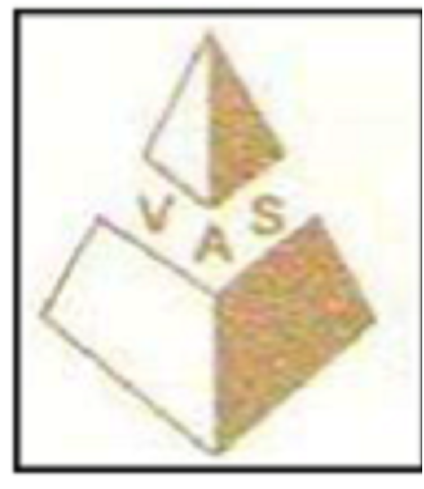 VAS Logo